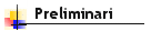 Prelim.gif (1654 byte)
