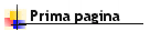 Primapag.gif (1762 byte)